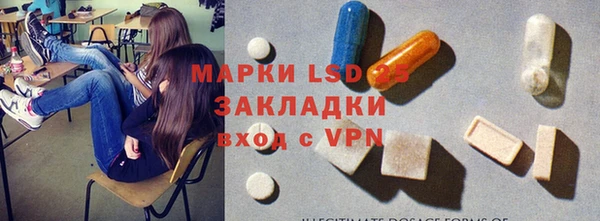 прущие грибы Абаза