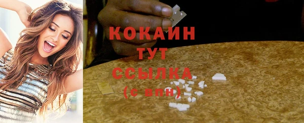 прущие грибы Абаза