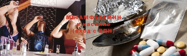 прущие грибы Абаза