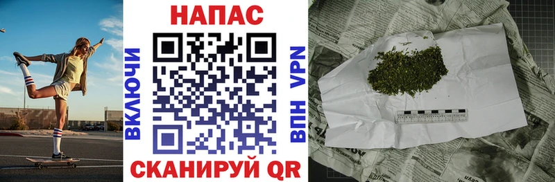 Бошки Шишки White Widow  продажа наркотиков  Торопец 
